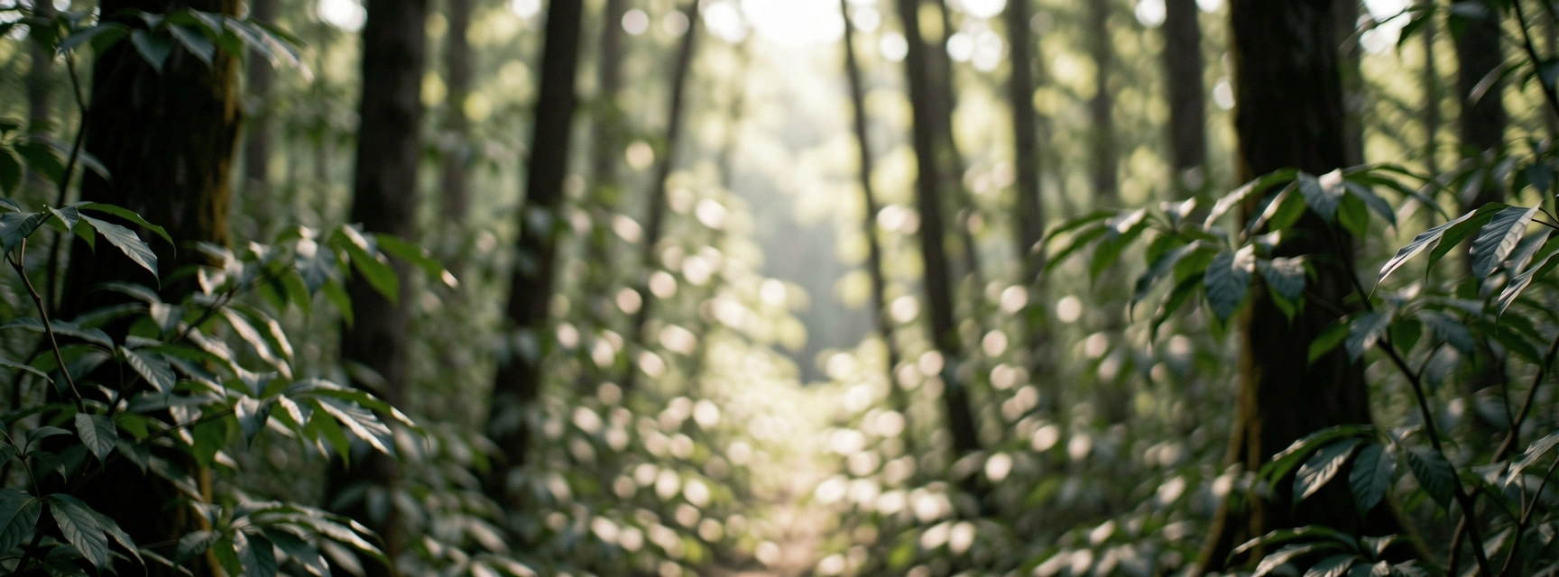 Abstract nature background